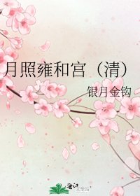 月照雍和宮(清)